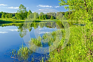 Scorso Selvaggio luoghi. un fiume 