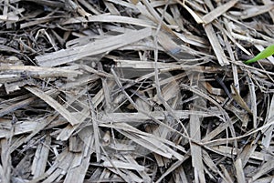 Last year's rotted straw. Texture and background