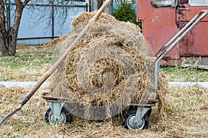 Last yearâ€™s grass in old wagon. Country life concept. Fork. Dry straw piled in card after mowing