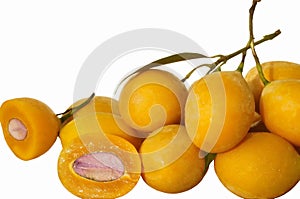 Lat: `Bouea Macrophylla`. Marian plum, Gandaria, Mayongchid, Maprang, Plum Mango. The English name `plum mango` reveals a vei