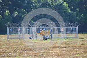 The latch on the underground gas pipeline