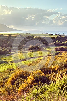 Latchi Beach near Polis in Cyprus photo