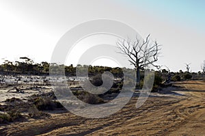 Late afternoon at Lake Magic, Hyden, WA, Australia