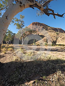 Late afternoon outback in the dry river bed at Simpsons Gap