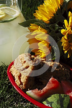 Late Afternoon Picnic