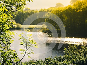 Late afternoon sun reflecting on a lake in spring.