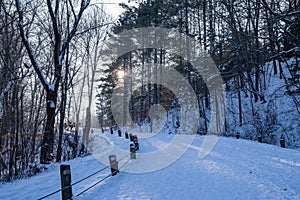 Late afternoon winter sunshine along the trail in William O`Brien State Park Minnesota