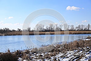 Late autumn, bright Sunny day with trees already flew around the leaves and along the river Bank is dry yellow, dried cane