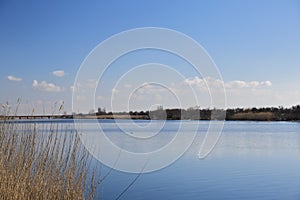 Late autumn, bright Sunny day with trees already flew around the leaves and along the river Bank is dry yellow, dried cane