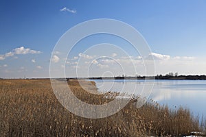 Late autumn, bright Sunny day with trees already flew around the leaves and along the river Bank is dry yellow, dried cane