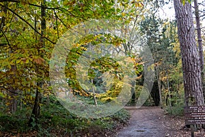 A late autumn day in Buchan Park Crawley United Kingdom