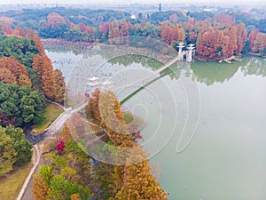 Late autumn and early winter scenery of Luoyan Island in East Lake, Wuhan, Hubei