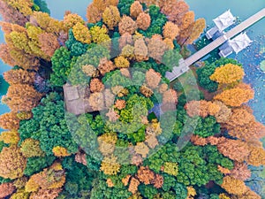 Late autumn and early winter scenery of Luoyan Island in East Lake, Wuhan, Hubei