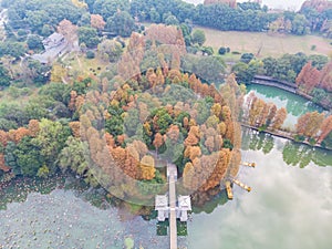 Late autumn and early winter scenery of Luoyan Island in East Lake, Wuhan, Hubei