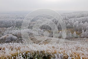 Late autumn landscape with frosted plants and trees