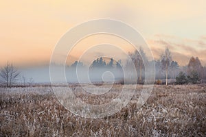 Late autumn landscape. The grass in the field is covered with white frost and fog in the distance in the fresh morning