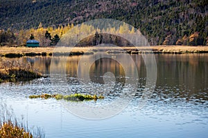 Late autumn landscape of Long Pond, St. John`s, Newfoundland and