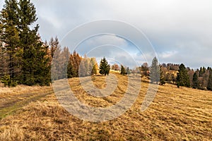 Late autumn mountain meadow with trees and blue sky - Vojtov vrch hill in Javorniky mountains in Slovakia