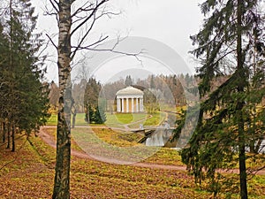 late autumn in Pavlovsky Park fallen foliation and cold wind