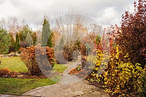 Late autumn private garden view with stone pathway and dried hydrangea