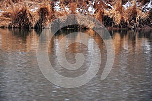 Late autumn riverside