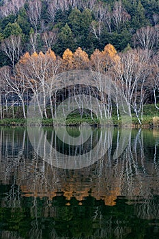 Late autumn scenery of Shiga Kogen Kido Pond.