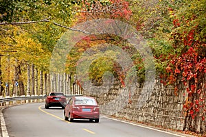 In late autumn, two cars were driving on a suburban road..