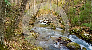 Late Autumn View of a Footbridge Over Roaring Run Creek