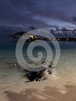 Late evening in the Maldives. Overwater villas with lights on, azure Indian Ocean waters with stingrays and little sharks swimming