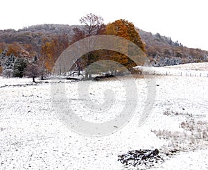 Late fall landscape  Bromont Quebec