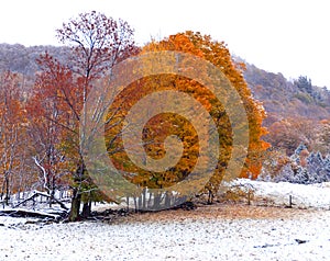 Late fall landscape  Bromont Quebec