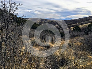 Late Fall panorama forest views hiking, biking, horseback trails through trees on the Yellow Fork and Rose Canyon Trails in Oquirr