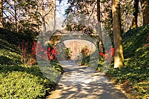 Late fall path and bridge