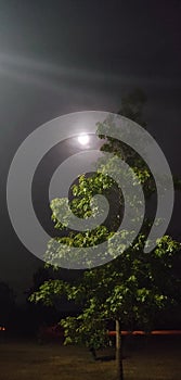 Late Night Foggy Moon