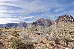 Late Night Trail, Mustang Loop, Red Rock Conservation Area, Southern Nevada, USA