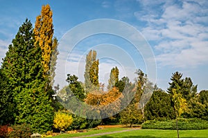 Late October in Bratislava botanical garden, park meadow