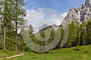 Late spring landscape in the Julian Alps, Triglav National Park, Slovenia, Europe