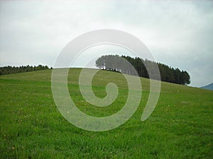 Late spring landscape in the mountains