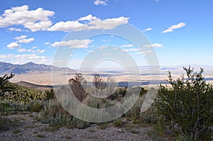 Late Spring in Nevada: Overlooking Great Basin