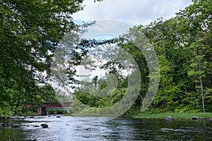 Late spring river flowing with vibrant green riverbanks and a railroad bridge in the distance