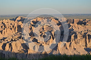 Late Spring in South Dakota: Bighorn Sheep Scattered Around at Pinnacles Overlook Along Loop Road in Badlands National Park