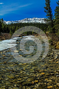 Late spring thaw, Clearwater County, Alberta, Canada