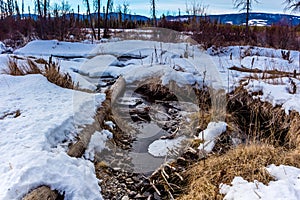 Late spring thaw, Clearwater County, Alberta, Canada