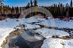 Late spring thaw, Clearwater County, Alberta, Canada