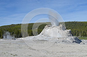 Late Spring in Yellowstone National Park: Castle Geyser Erupts as Tortoise Shell Spring Vents in Upper Geyser Basin
