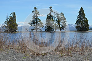 Spring in Yellowstone: Looking East From Gull Point on Yellowstone Lake to Stevenson Island & Mountains of Absaroka Range Beyond photo