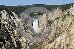 Spring in Yellowstone: Lower Yellowstone Falls in the Grand Canyon of the Yellowstone River Viewed From Artist Point