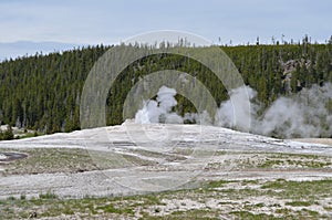 Late Spring in Yellowstone National Park: Old Faithful Geyser Begins to Erupt in Upper Geyser Basin