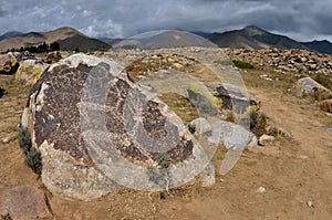 Late Stone Age art - ancient petroglyphs depicting deers,archaeological site near Cholpon Ata, Issyk-Kul lake shore, Kyrgyzstan