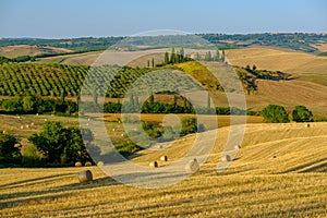 Late summer aerial landscape of valley in Tuscany